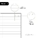 Ruled 2.webp